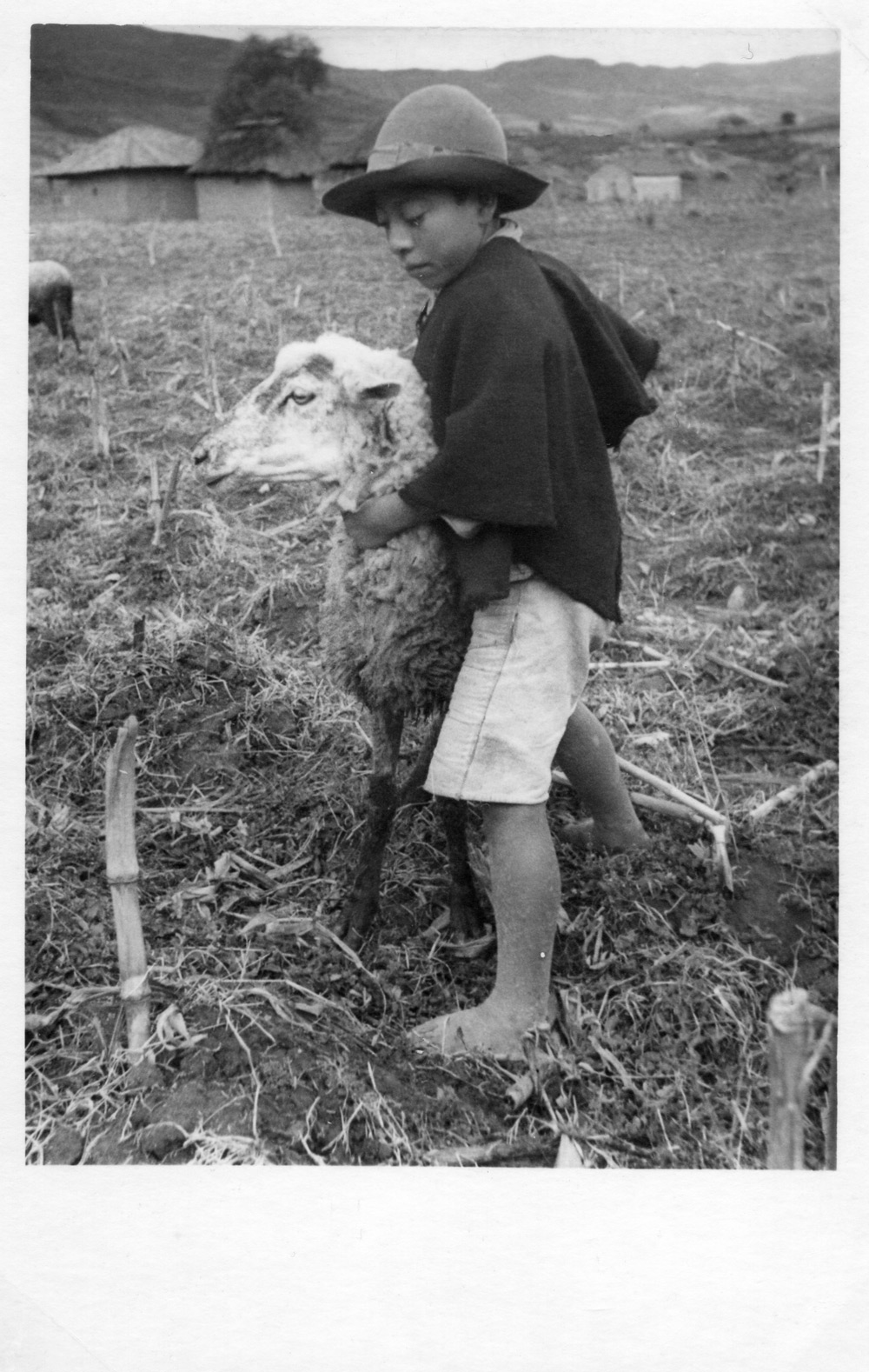 Niño campesino con oveja La Red Cultural del Banco de la República