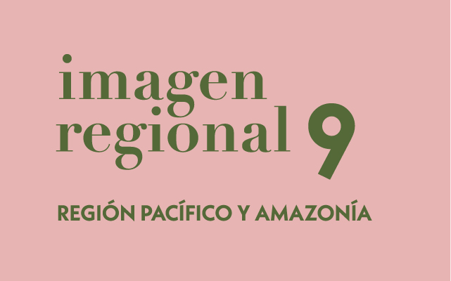 Imagen Regional 9. Región Pacífico y Amazonia