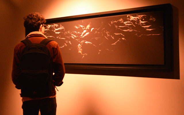 Joven observando una obra de Clemencia Echeverri. Liminal 