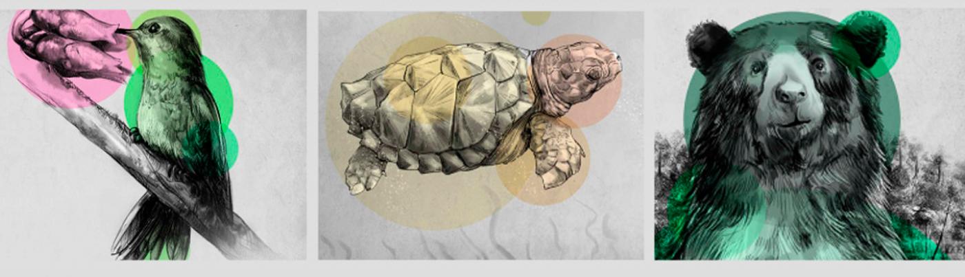 Biodiversidad- Nuestra conexión vital 