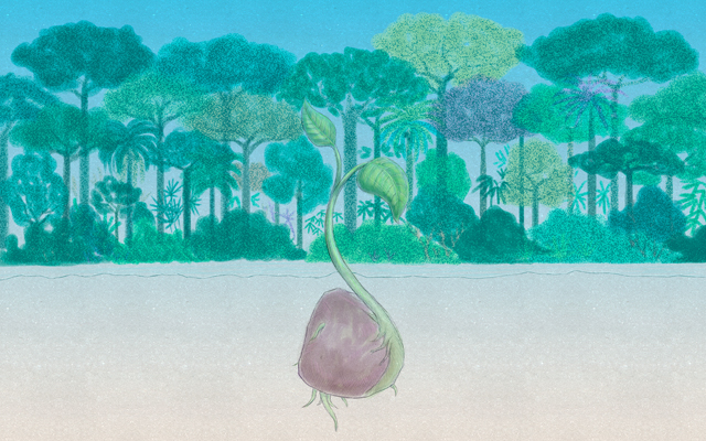 ilustración del brote de una semilla