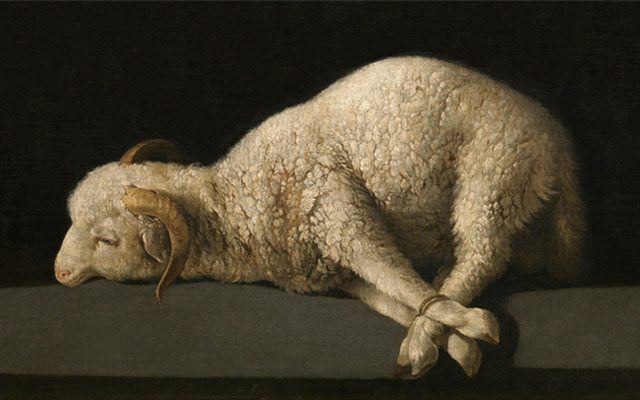 Agnus Dei de Francisco de Zurbarán