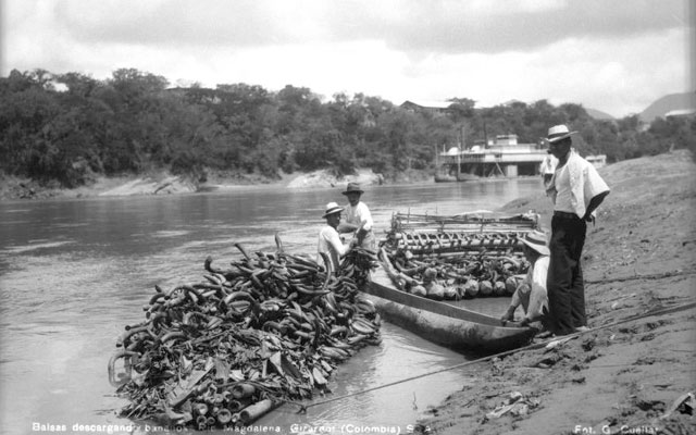 Balsas descargando bananos en el Río Magdalena