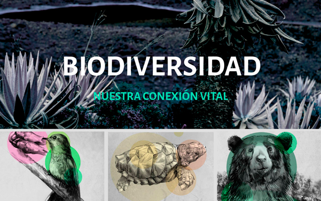 Biodiversidad- Nuestra conexión vital 