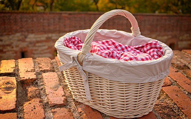 Canasta de picnic
