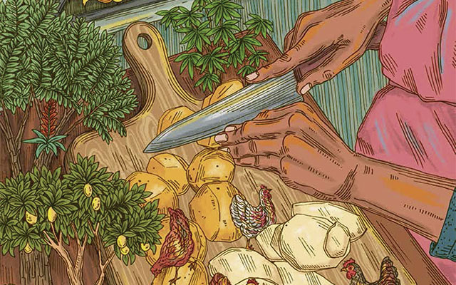 Ilustración de cocina colombiana