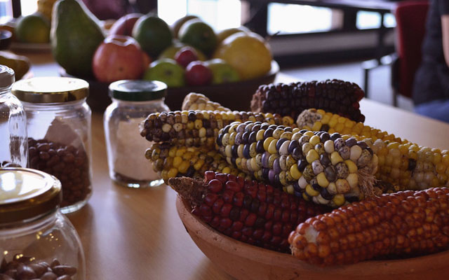 Ingredientes de para preparar un plato tradicional