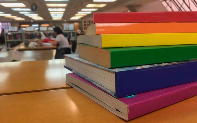Libros sobre diversidad en la BLAA