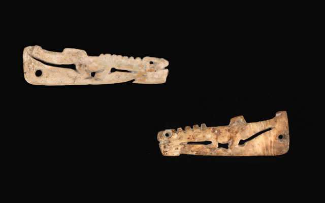 Colgante zoomorfo de concha. Llanuras del Caribe - Tradición Zenú, 200 a.C. - 1600 d.C. K00362 y K00369, Colección Museo del Oro - Banco de la República.