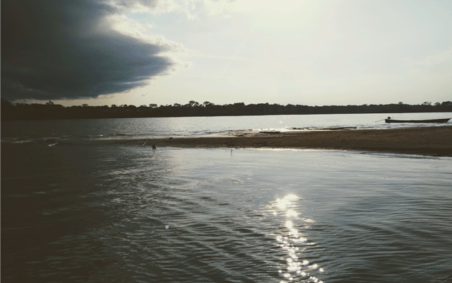 rio amazonas aguas bajas