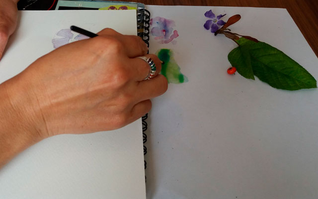 Taller de dibujo