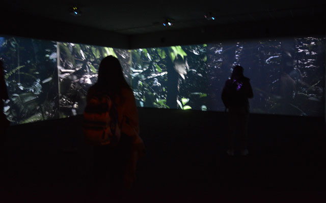 Visitantes en Clemencia Echeverri. Liminal 