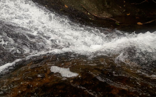 Río que corre alrededor del territorio de la comunidad indígena Inkal Awá 