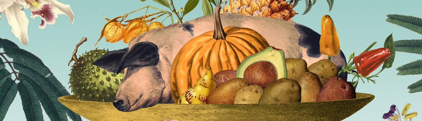 La dieta prehispánica: Salud y Equilibrio ambiental