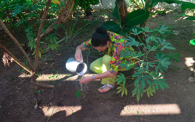 Riego de la chagra del Centro Cultural de Leticia