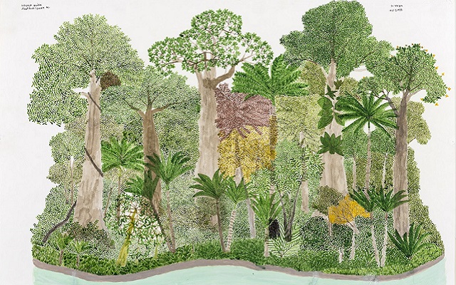 Ciclo Anual del Bosque de Vega - 12. Abel Rodríguez Muinane. Fecha de ingreso a la colección Jueves, 24 Noviembre 2016.