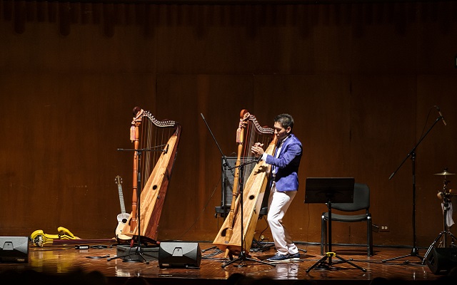 Concierto de Elvis Díaz ofrecido el domingo 28 de abril del 2019 en la Sala de Conciertos de la Biblioteca Luis Ángel como parte de la Serie de los Jóvenes Intérpretes. 