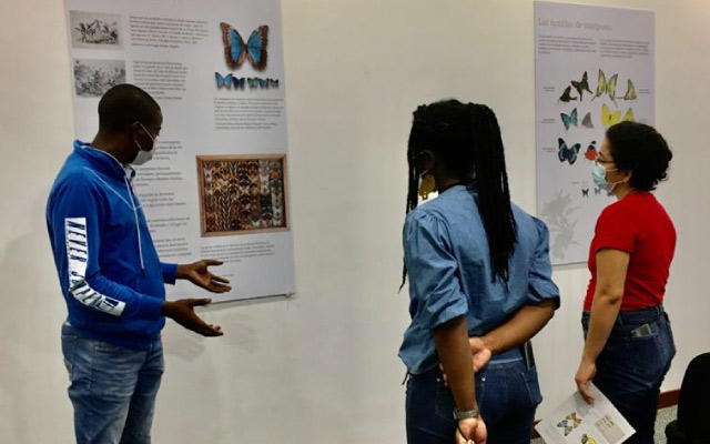 Exposición didáctica Un mundo de mariposas en el Centro Cultural del Banco de la República de Quibdó.
