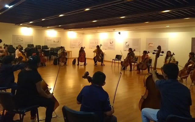 Taller de violonchelo