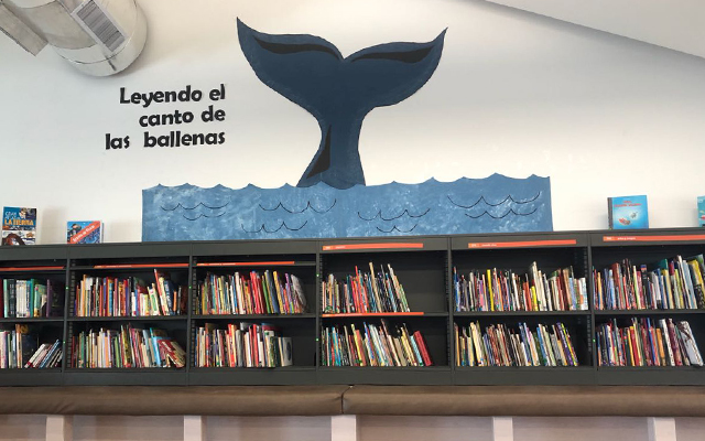 Leyendo con ballenas