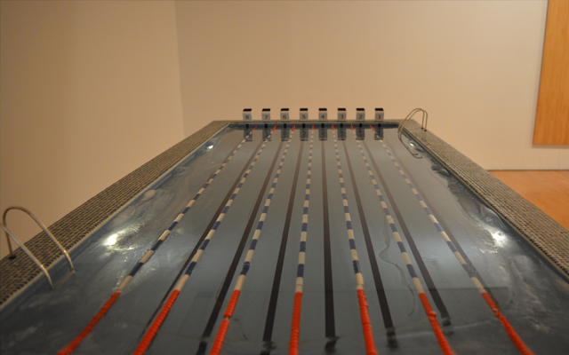 Imagen de la miniatura de una piscina en la exposición Los Carpinteros