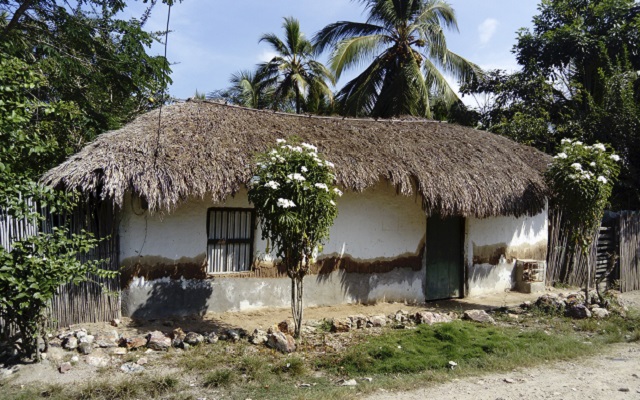 La vivienda tradicional en el caribe colombiano | La Red Cultural del Banco  de la República