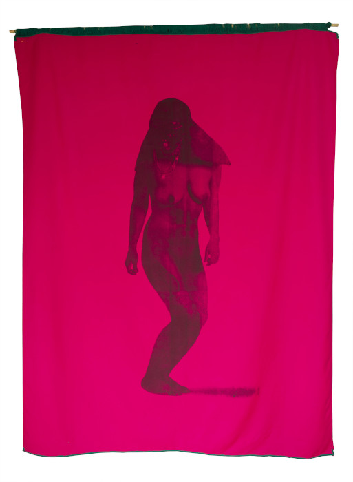 [13] Julieth Morales (1992). La señorita, movimiento No 3 - 2019, serigrafía sobre rebozo femenino Misak, 200 x 150 cm. AP6647
