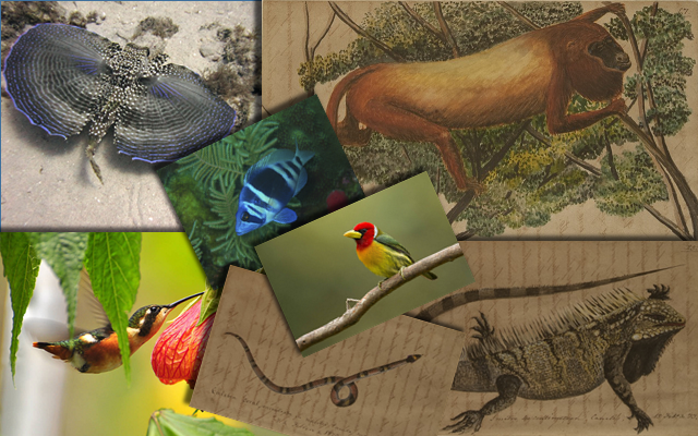 Composición de documentos de ciencias naturales