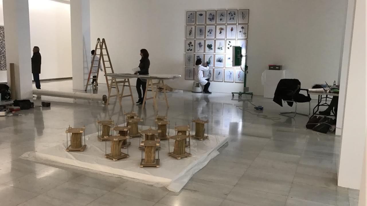 La exposición Campo está conformada por 134 obras pertenecientes a la colección de arte del Banco de la República, las cuales fueron selecionadas por la curadora Estrella de Diego. Esta exposición hace parte de la programación internacional de ARCO Madrid