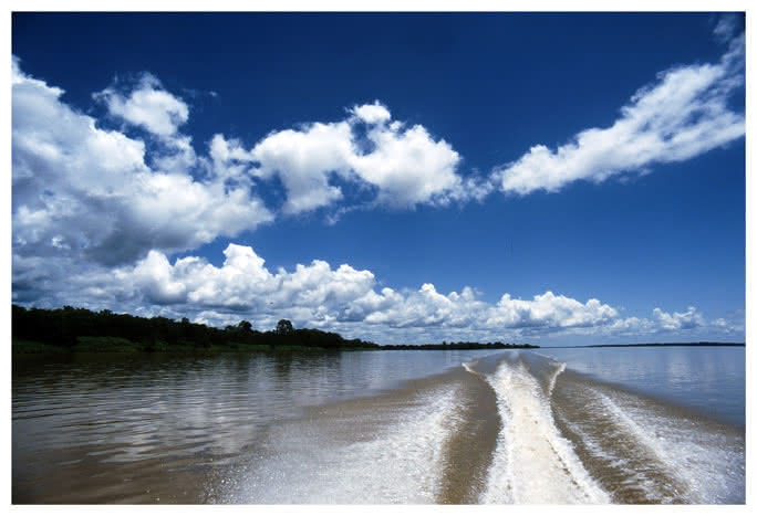 Río Amazonas