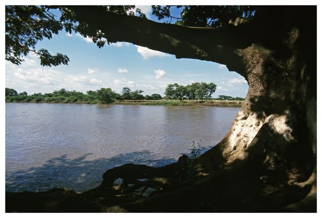 Río Amazonas