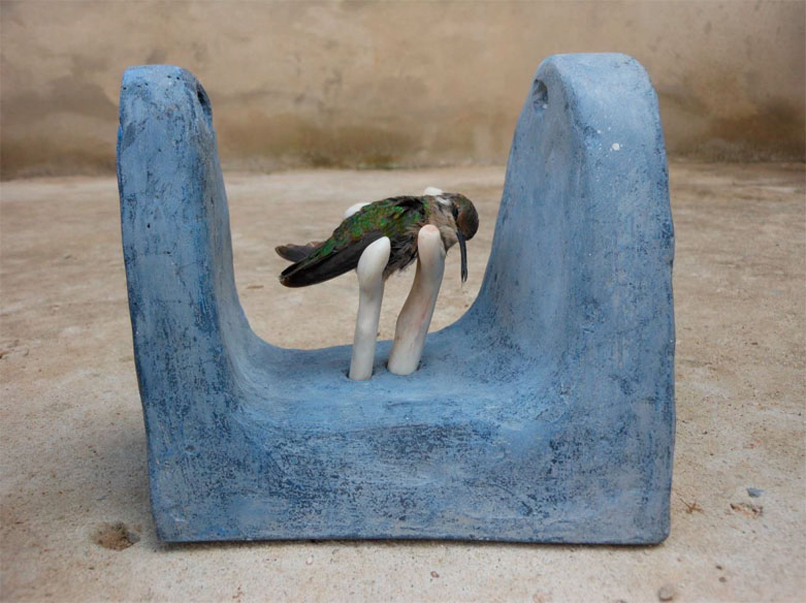 Román Ulrich Huntter Niederuzwil (Suiza, 1980). Tumba, para un colibrí, 2011 - Cemento, pigmentos, hueso y colibrí 18 x 14 x 12 cm.