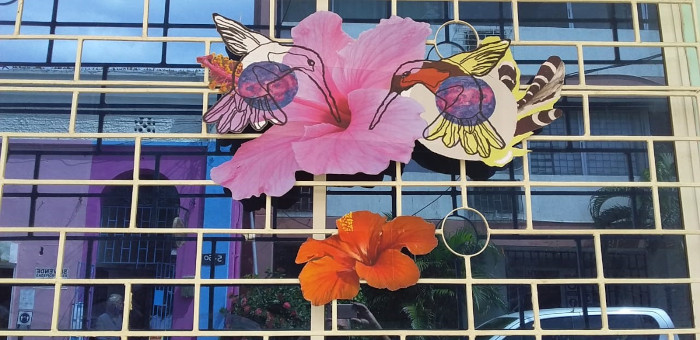 Mangos en abundancia obra de Isabel Roncallo