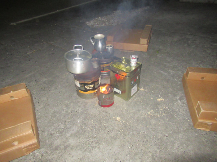 Salamandras caseras obra de Nashly Rueda