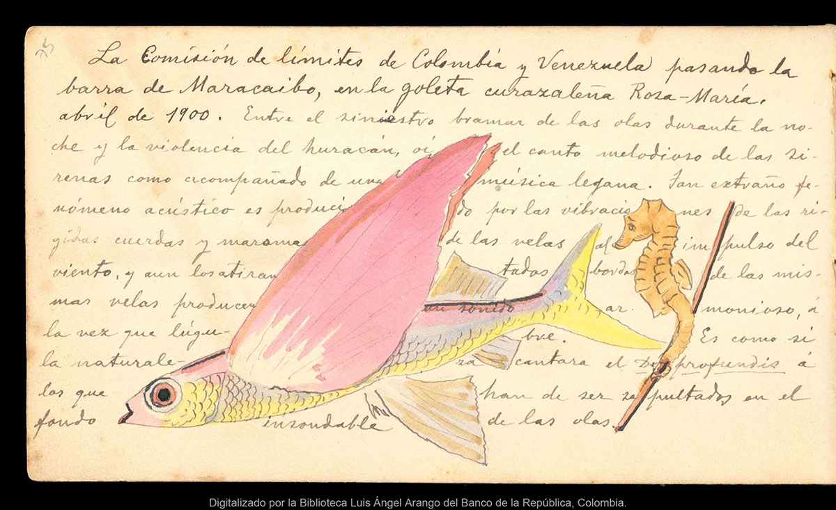 Página 75 de la Libreta de anotaciones, acuarelas y dibujos del pintor naturalista Santiago Cortés. c. 1900. Página 75 de la Libreta de anotaciones, acuarelas y dibujos del pintor naturalista Santiago Cortés. c. 1900.