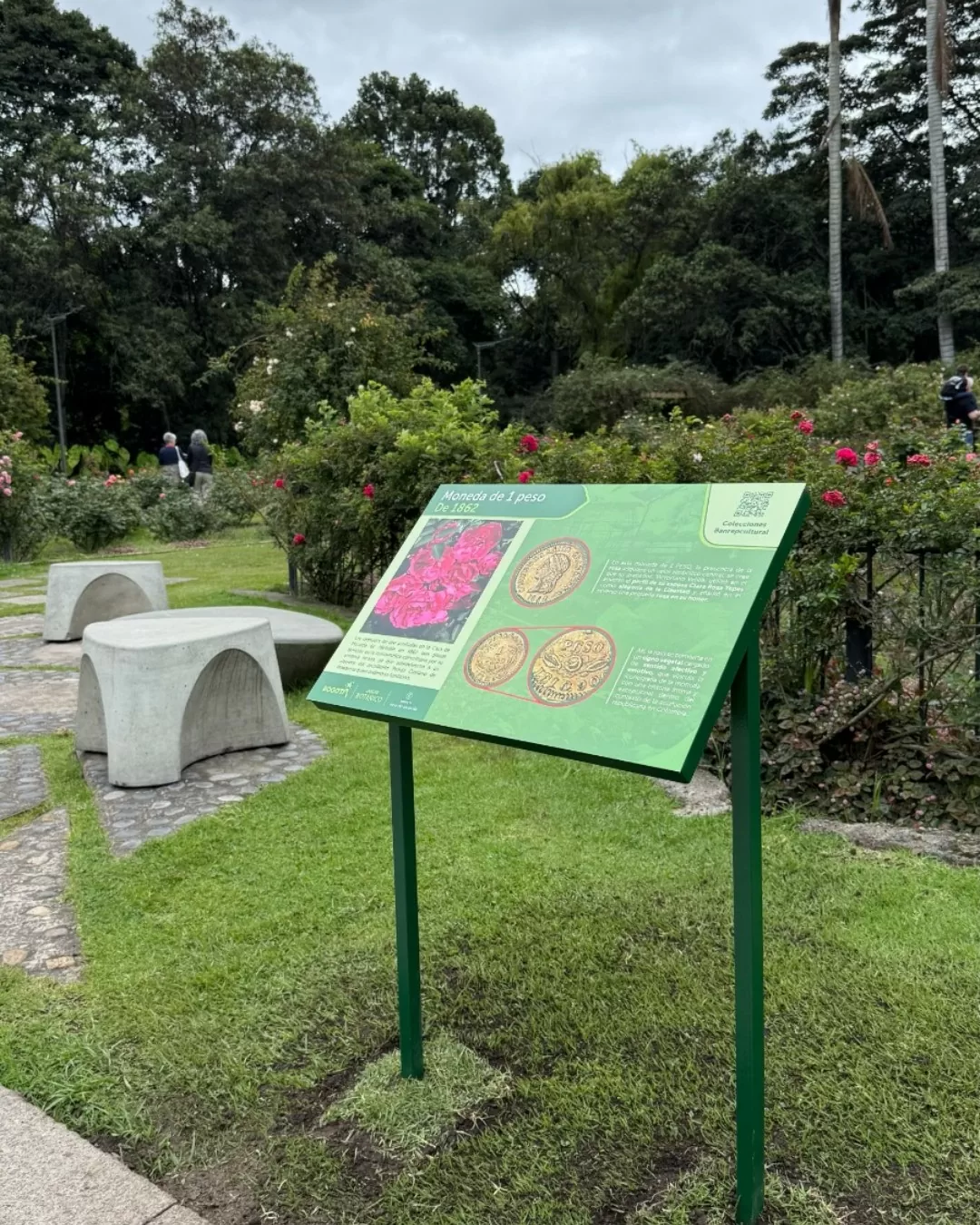 Plantas que valen oro del Museo Casa de Moneda en el Jardín Botánico de Bogotá