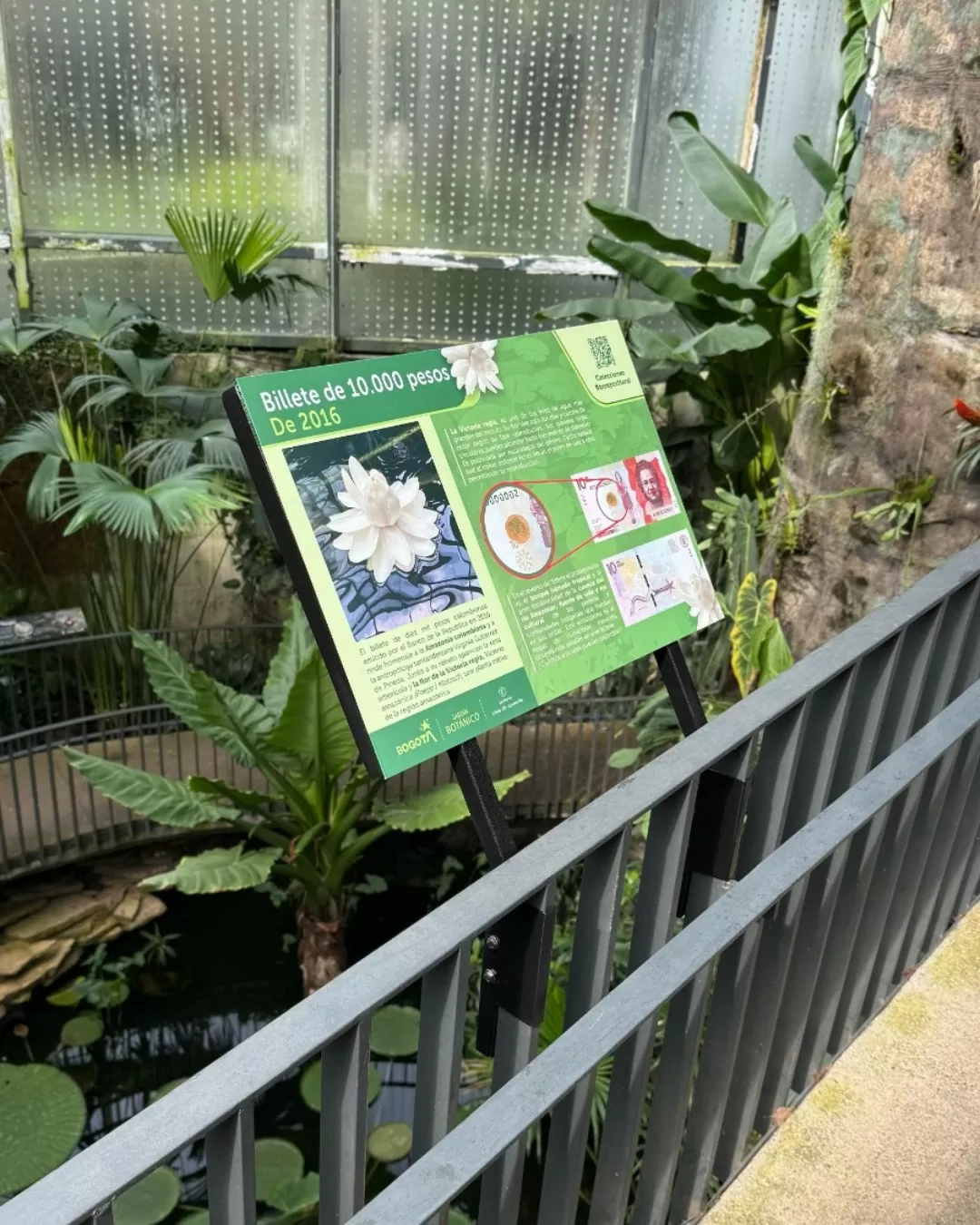 Plantas que valen oro del Museo Casa de Moneda en el Jardín Botánico de Bogotá