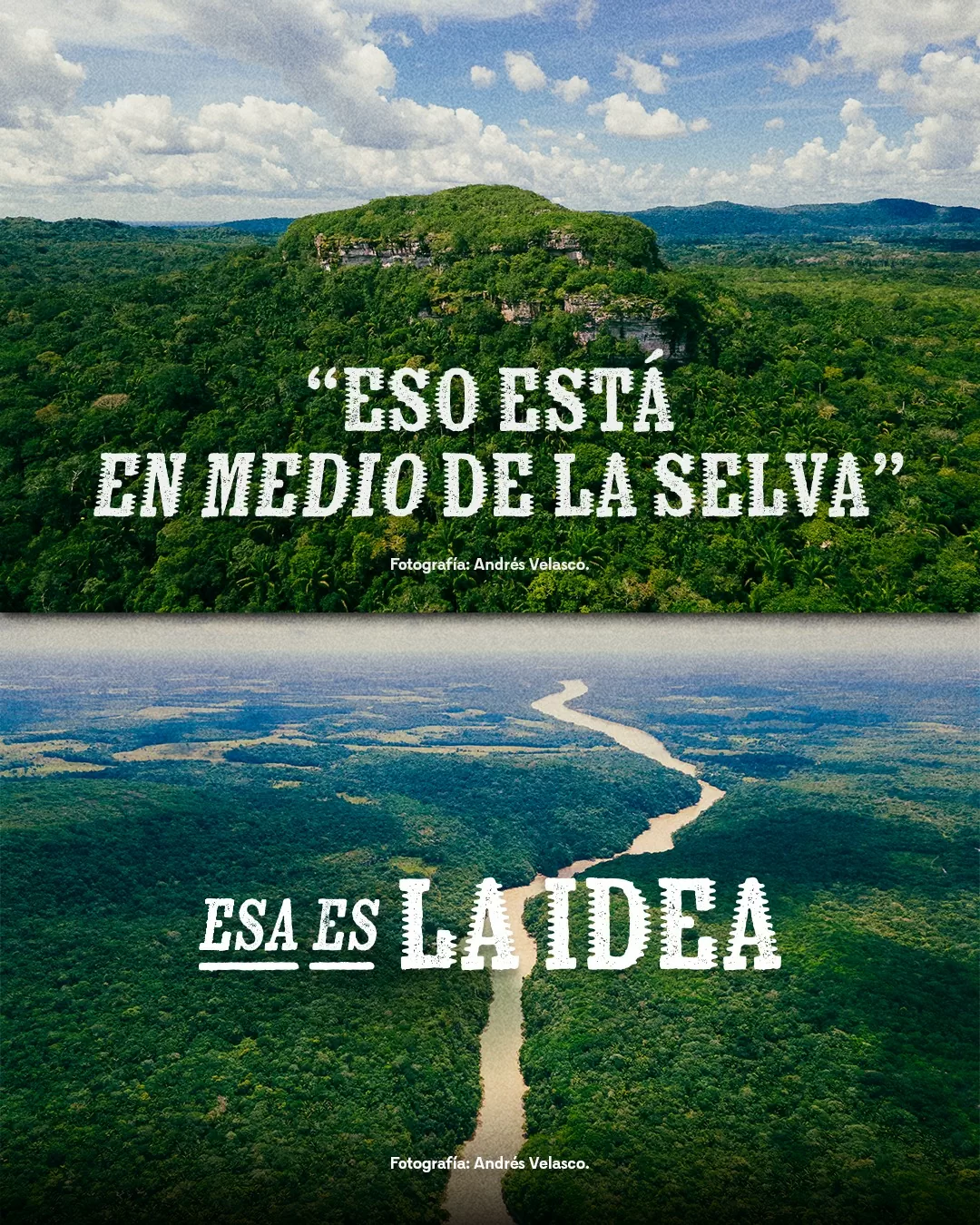 Esto está en medio de la selva. Esa es la idea.