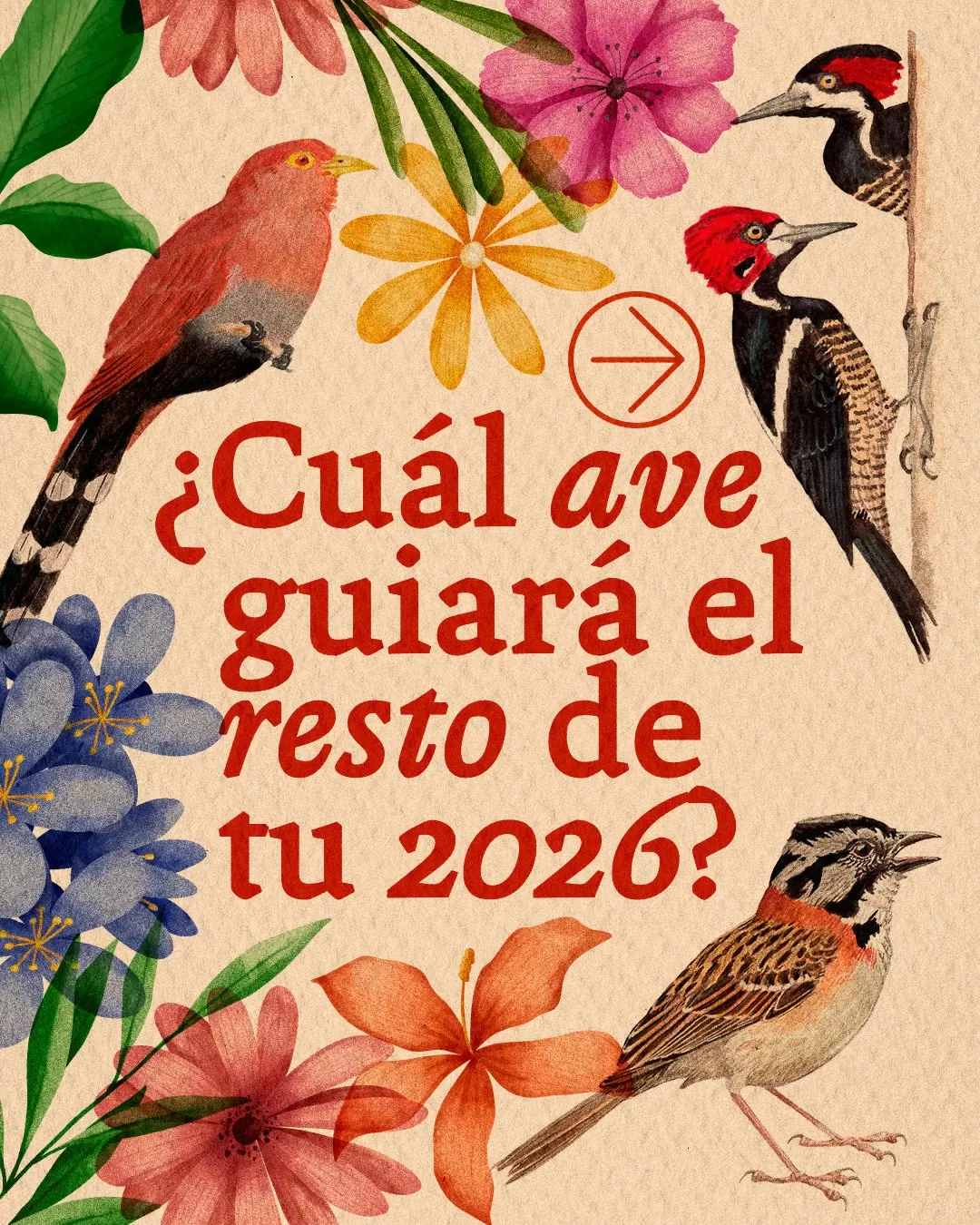¿Cuál ave guiará el resto de tu 2026?