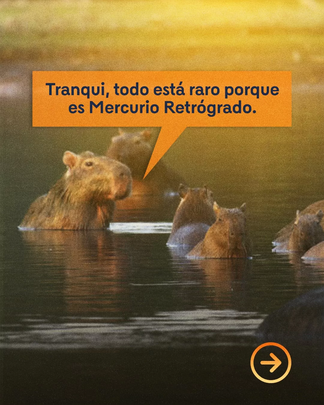 Tranqui, todo está raro porque es Mercurio Retrógrado.