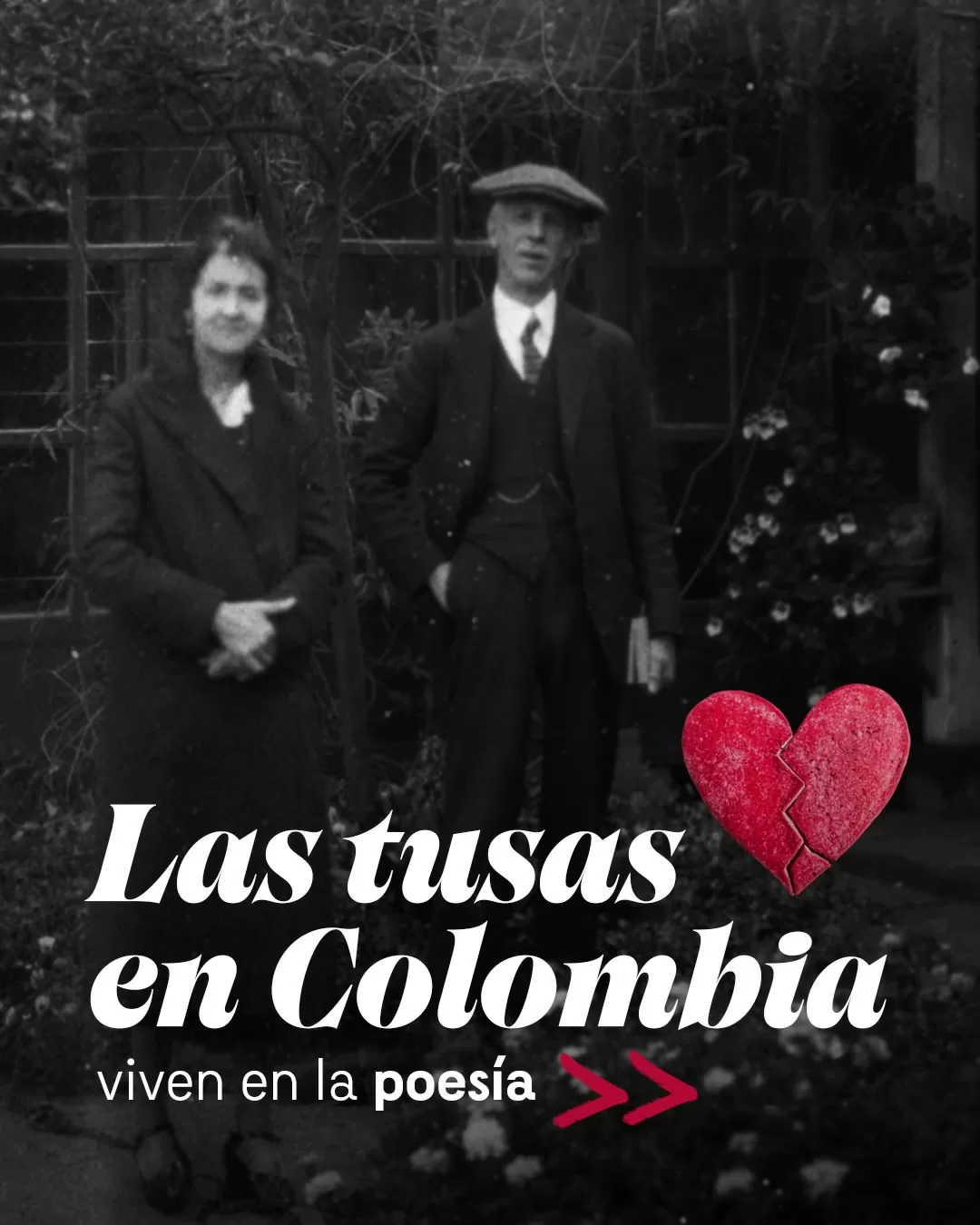 Las tusas en Colombia viven en la poesía...
