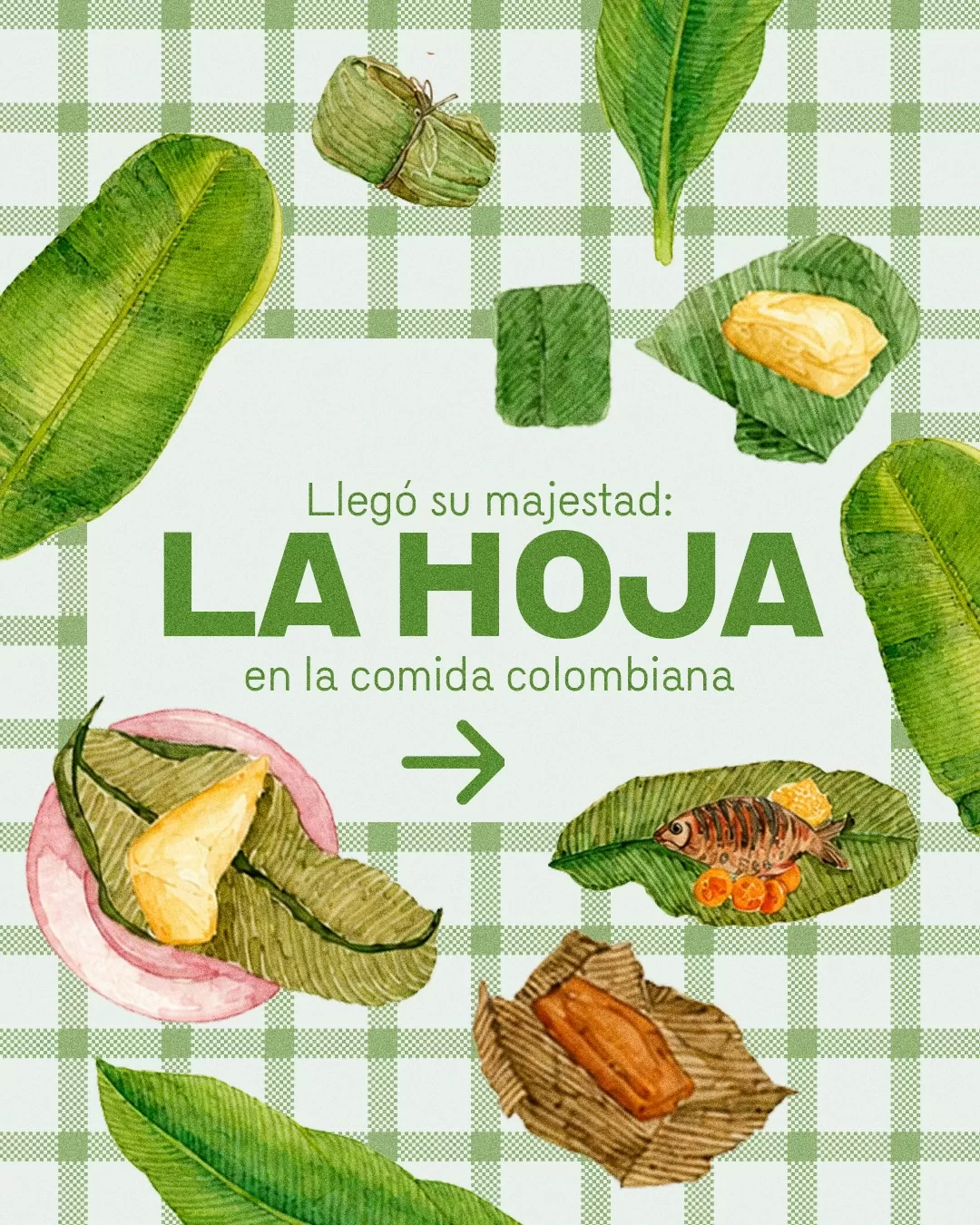 Llegó su majestad la hoja.