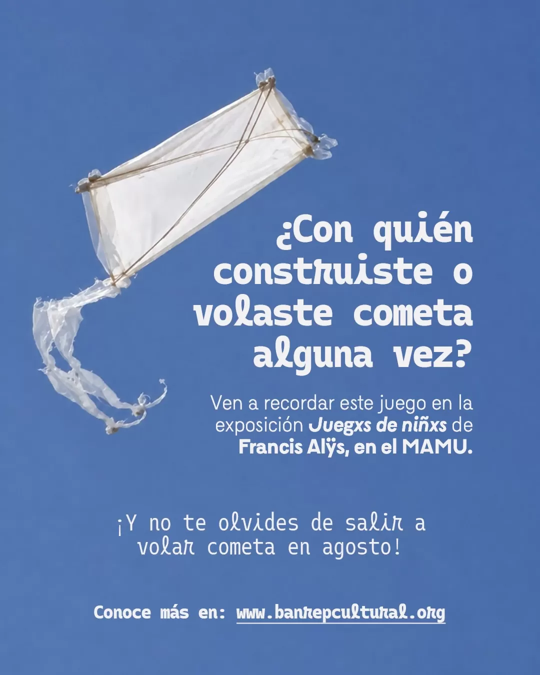 ¿Con quién construiste o volaste cometa alguna vez?