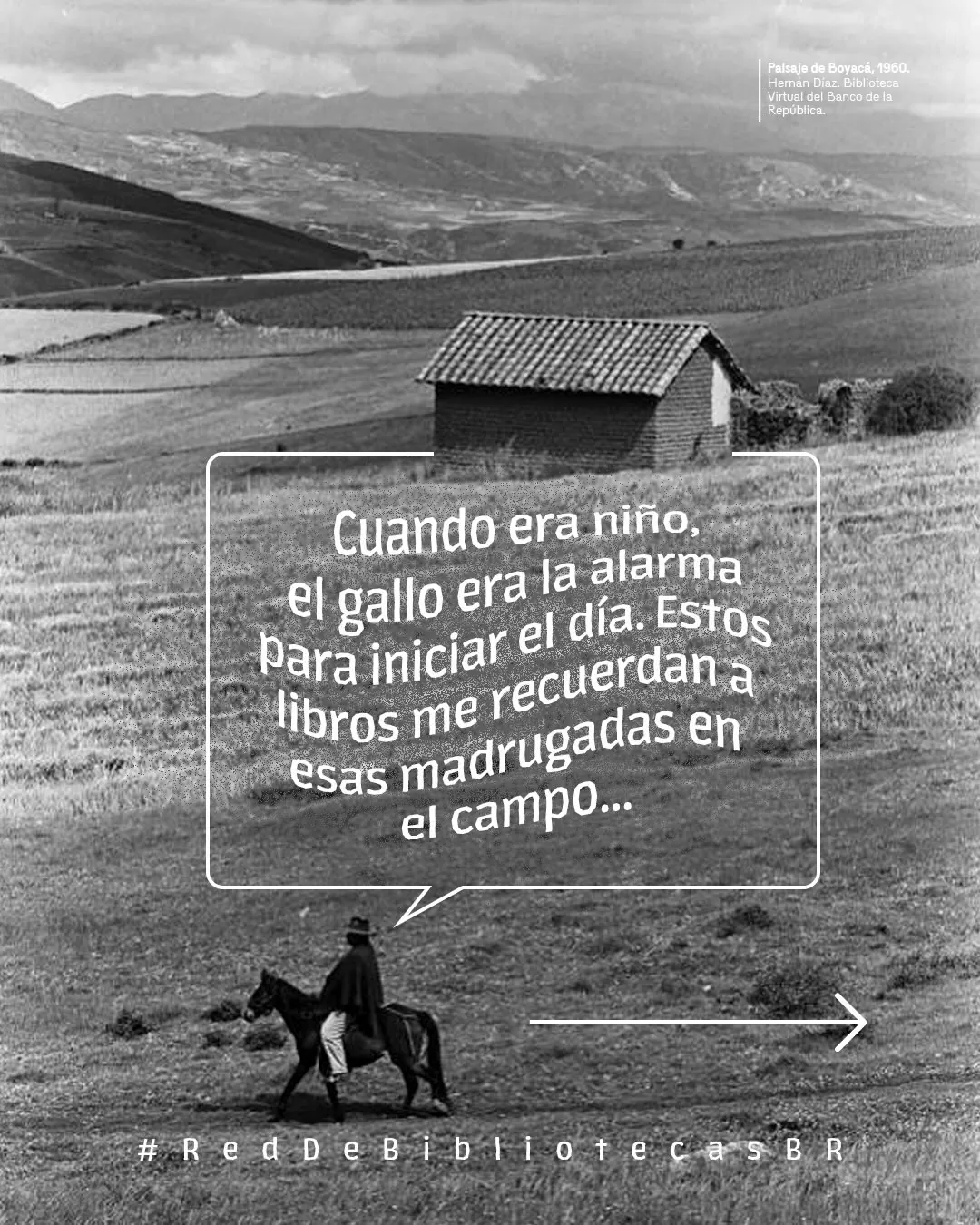 Cuando era niño el gallo era la alarma para iniciar el día. Estos libros me recuerdan esas madrugadas en el campo...