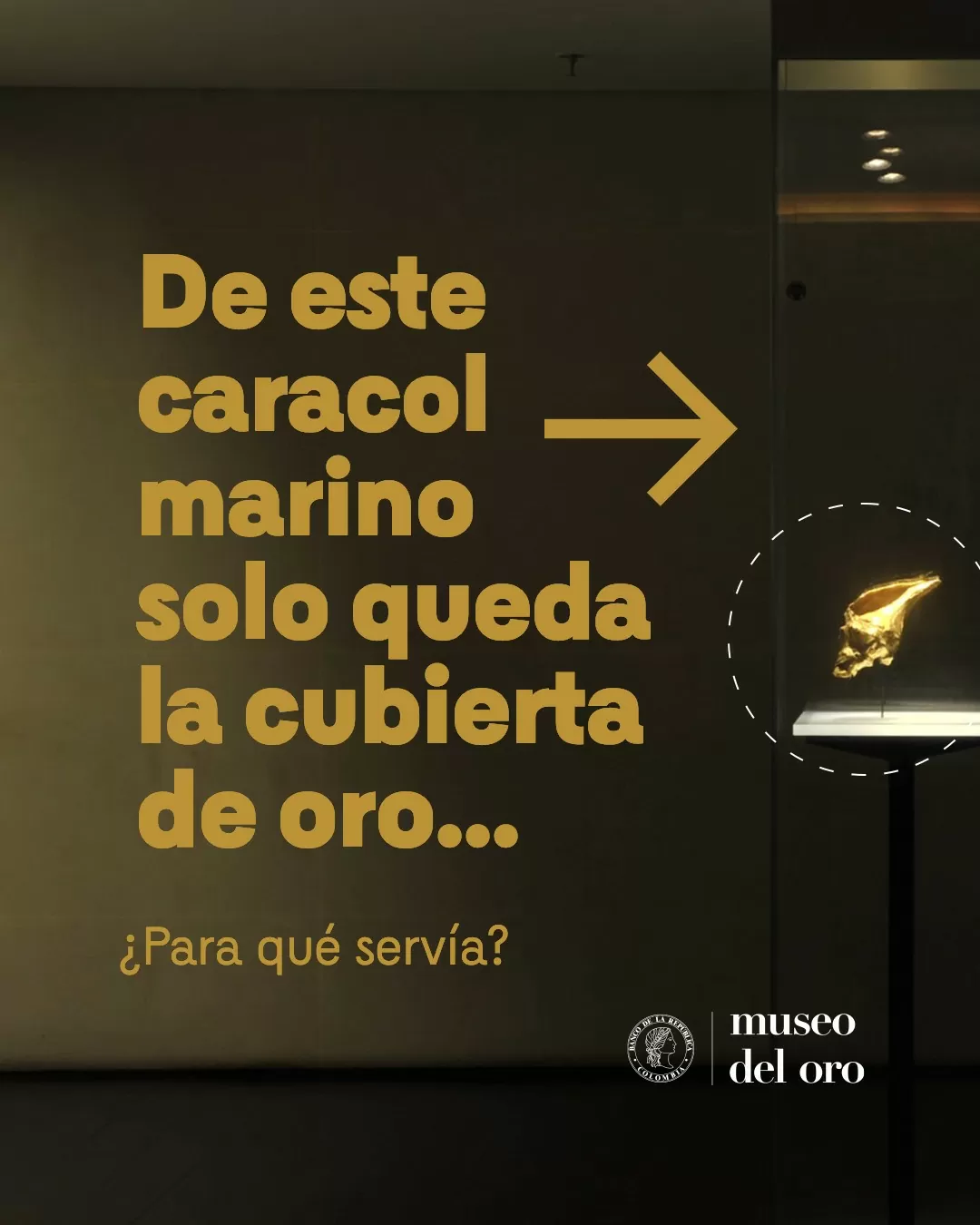 Foto a color, con texto amarillo, sobre la pieza Cubierta de caracol