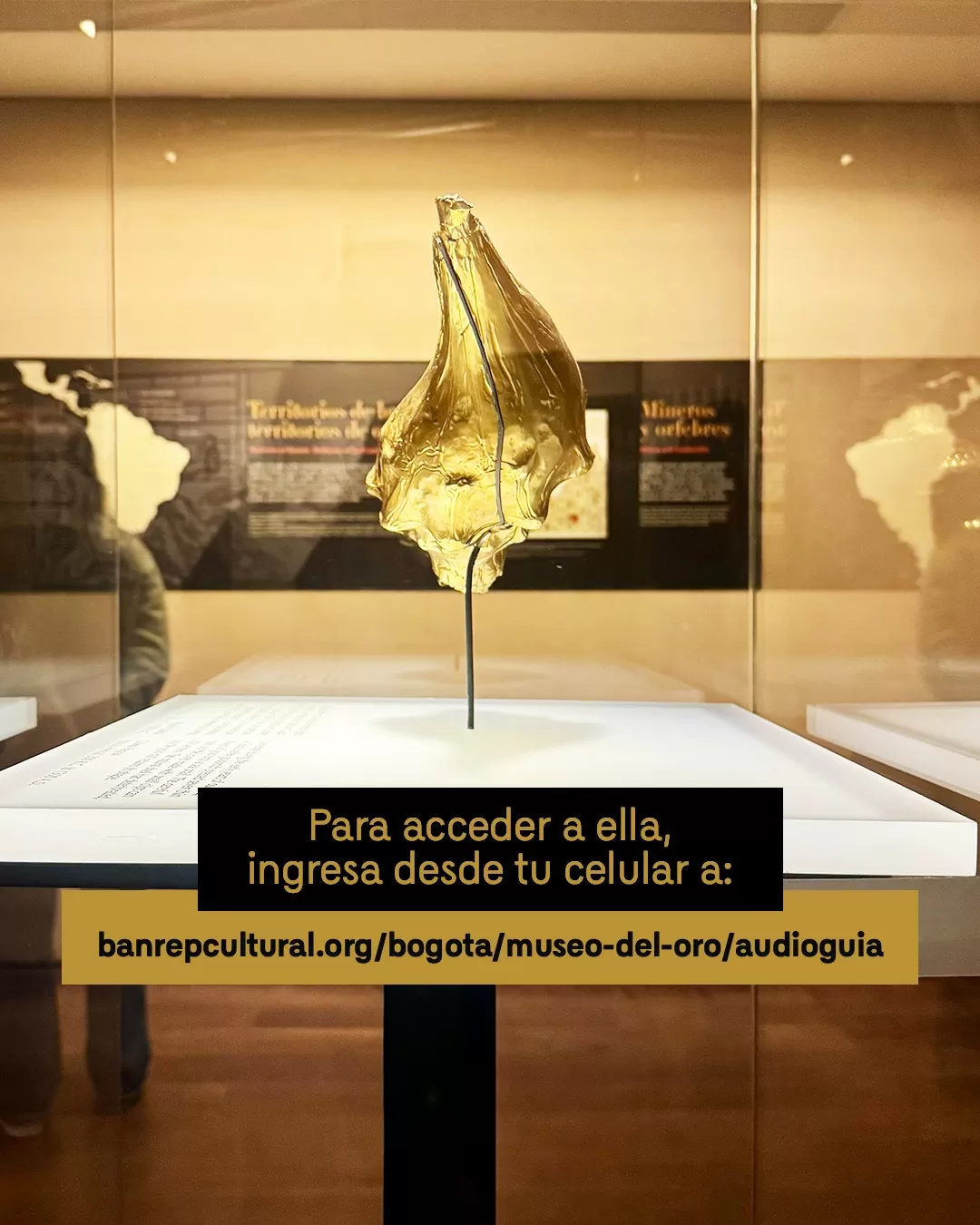 Foto a color, de la pieza Cubierta de caracol, en el Museo del Oro 