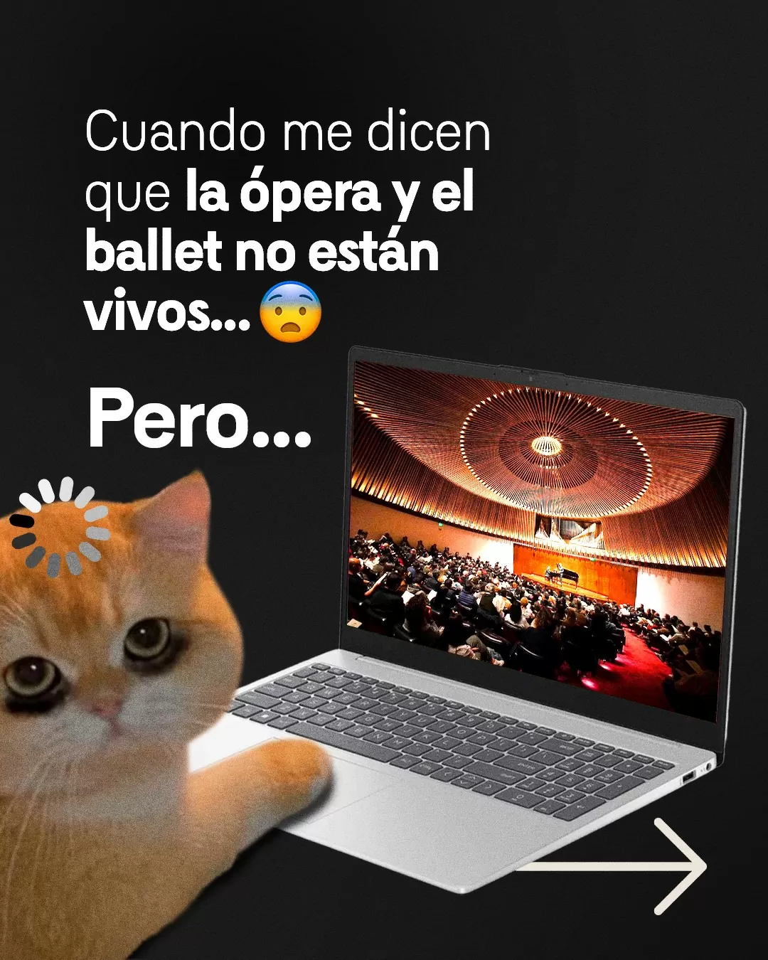 Panorámica de la Sala de Conciertos de la BLAA