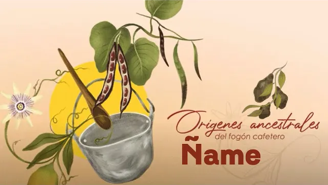 Miniatura Video receta ñame fogón cafetero