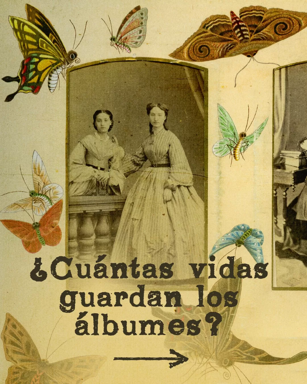 ¿Cuántas vidas guardan los álbumes? 