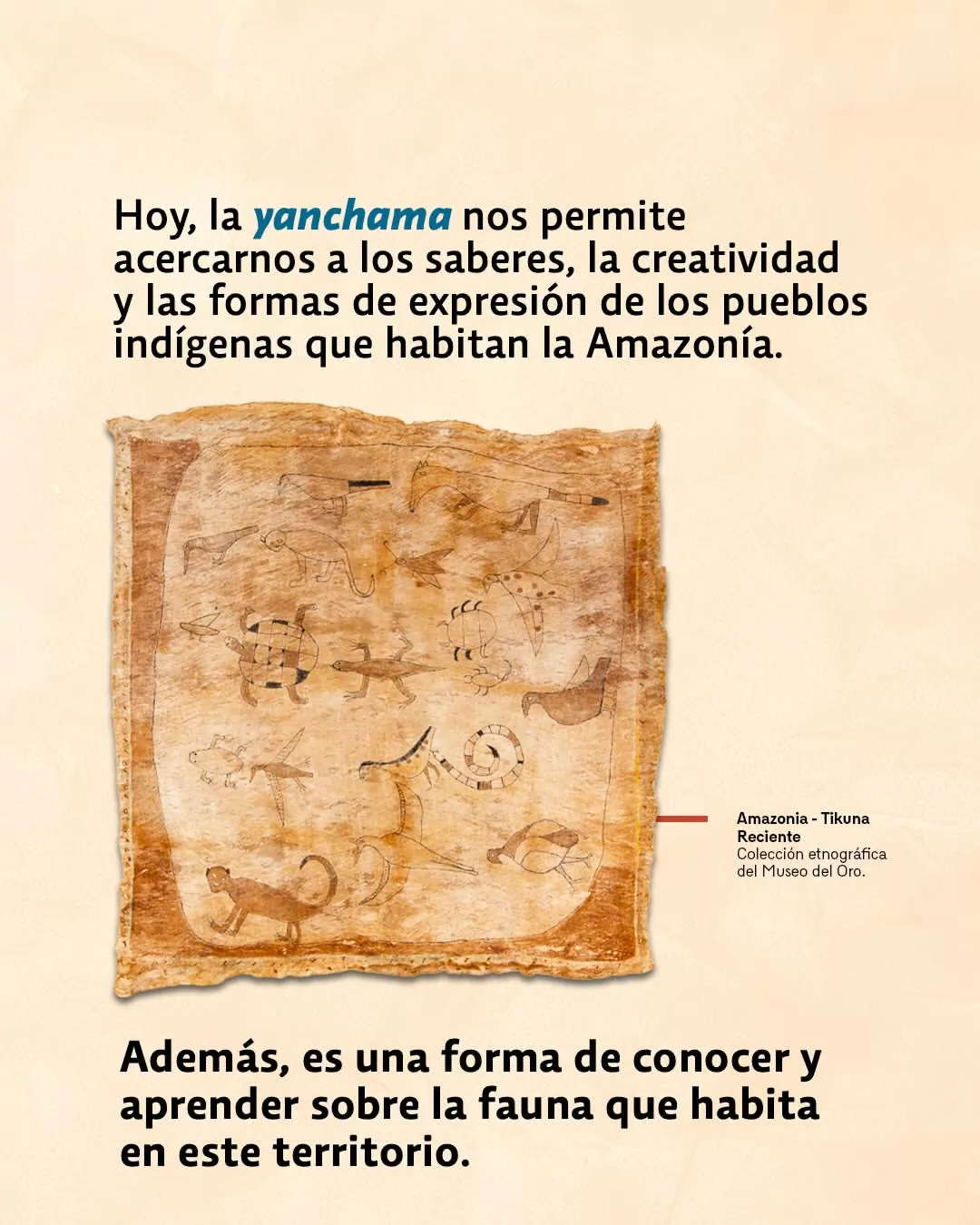 Hoy, la yamchama nos permite acercarnos a los saberes, la creatividad y las formas de expresión de los pueblos indígenas que habitan la Amazonía. 